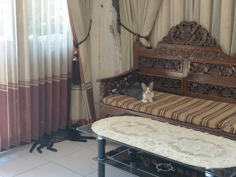 Similar image 22535850