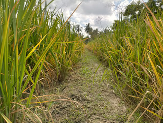 Similar image 22535851