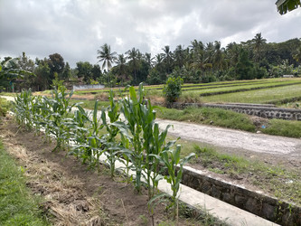 Similar image 22535894