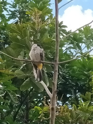 Similar image 22535895