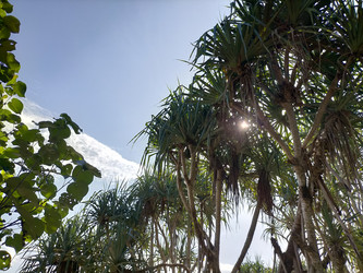 Similar image 22535924