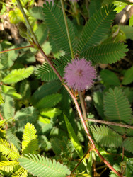 Similar image 22535939