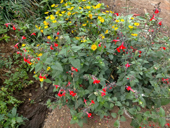 Similar image 22535969