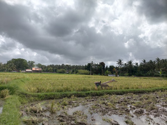 Similar image 22535982