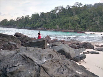 Similar image 22536015