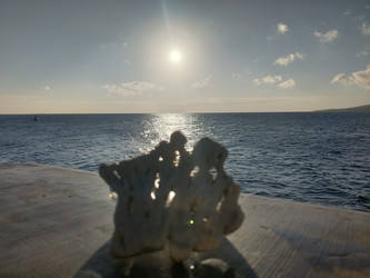 Similar image 22536030