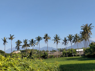 Similar image 22536045