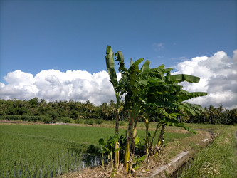 Similar image 22536046