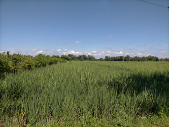 Similar image 22536074