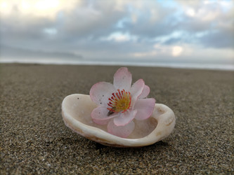 Similar image 22536092