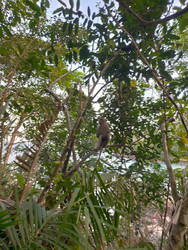 Similar image 22536152