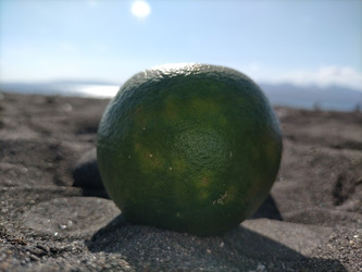 Similar image 22536181