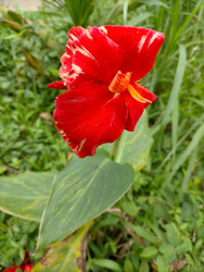 Similar image 22536196