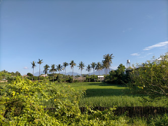 Similar image 22536212