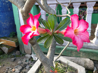 Similar image 22536314