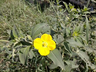 Similar image 22536328