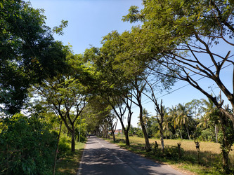 Similar image 22536347