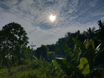 Similar image 22536359