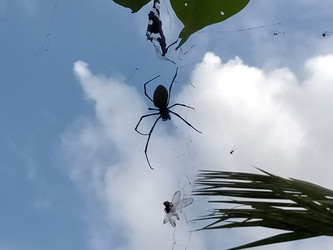 Similar image 22536375