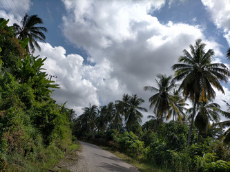 Similar image 22536376