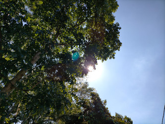 Similar image 22536419