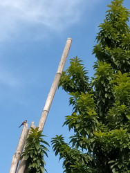 Similar image 22536435