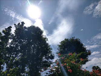 Similar image 22536493