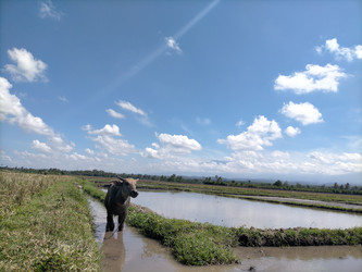 Similar image 22536509