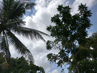 Similar image 22536556