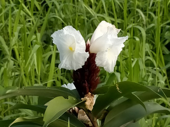 Similar image 22536585