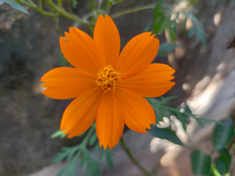 Similar image 22536631