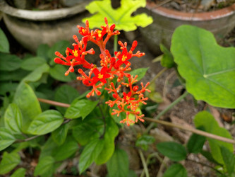 Similar image 22498672