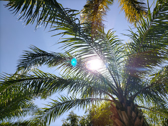 Similar image 22498689