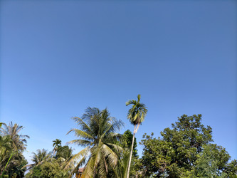 Similar image 22498717