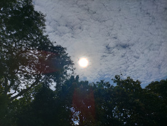 Similar image 22498718