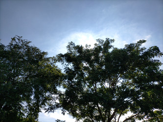 Similar image 22498719