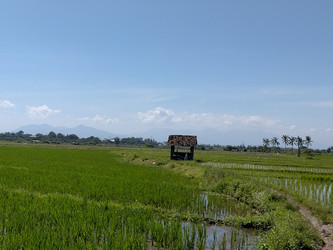 Similar image 22498748