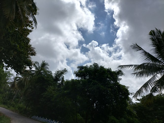 Similar image 22498764