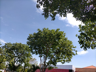 Similar image 22498779