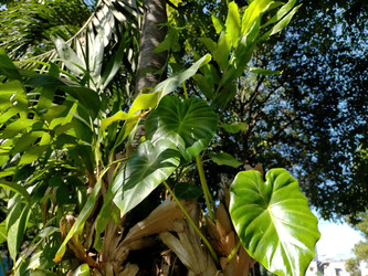 Similar image 22498824