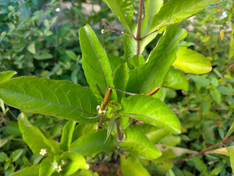 Similar image 22498825