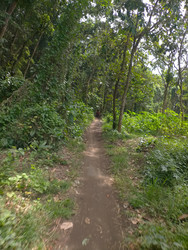 Similar image 22498841