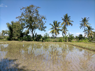 Similar image 22498871