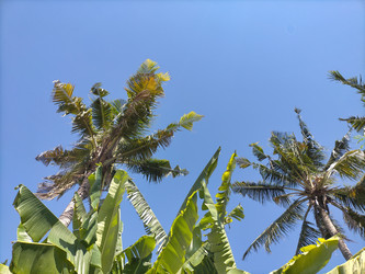 Similar image 22498884