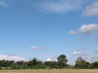 Similar image 22498899