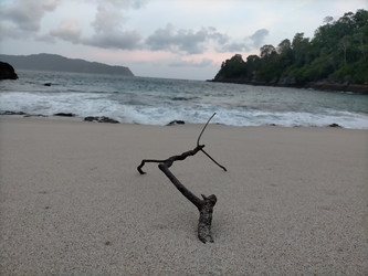 Similar image 22498929