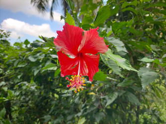 Similar image 22498944