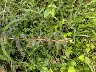 Similar image 22498975