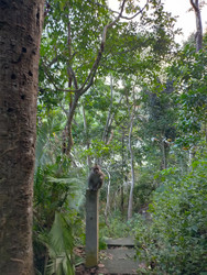 Similar image 22498990