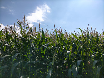 Similar image 22499017